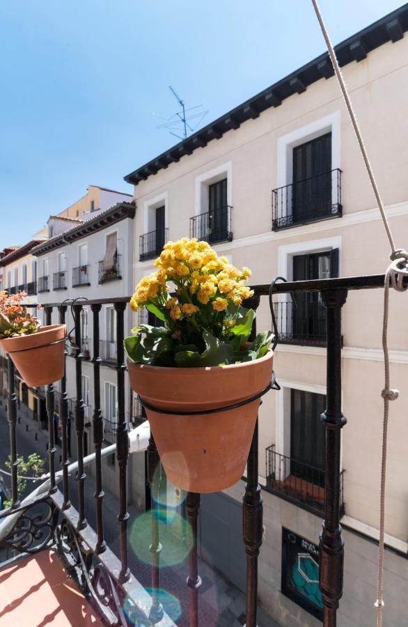 Calamo Guesthouse Madrid Dış mekan fotoğraf